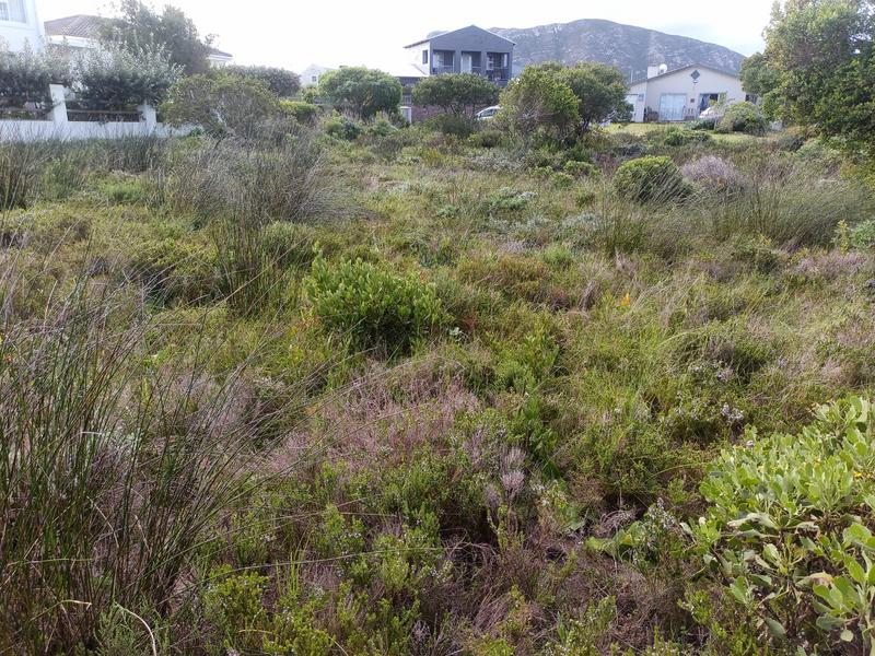 0 Bedroom Property for Sale in Kleinbaai Western Cape
